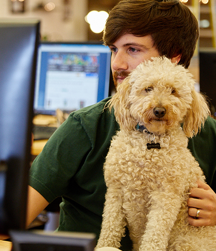 An employee holding a dog