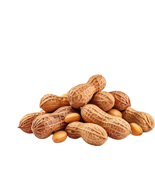 Peanuts in a pile